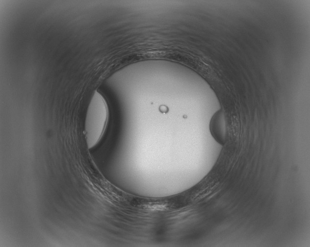 X0000054430651200507290953