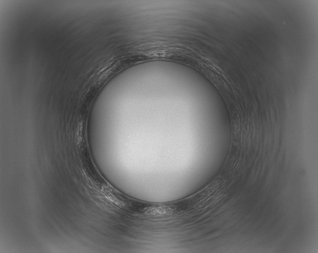 X0000054430652200507290953