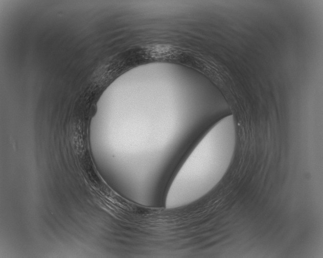 X0000054430653200507290953