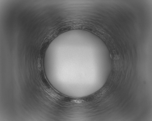 X0000054430654200507290953