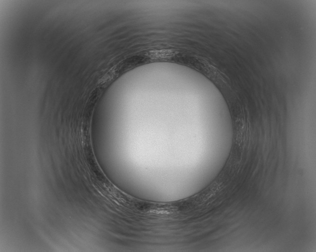 X0000054430655200507290953