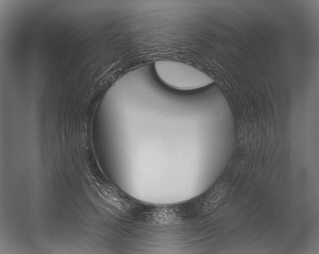 X0000054430656200507290953