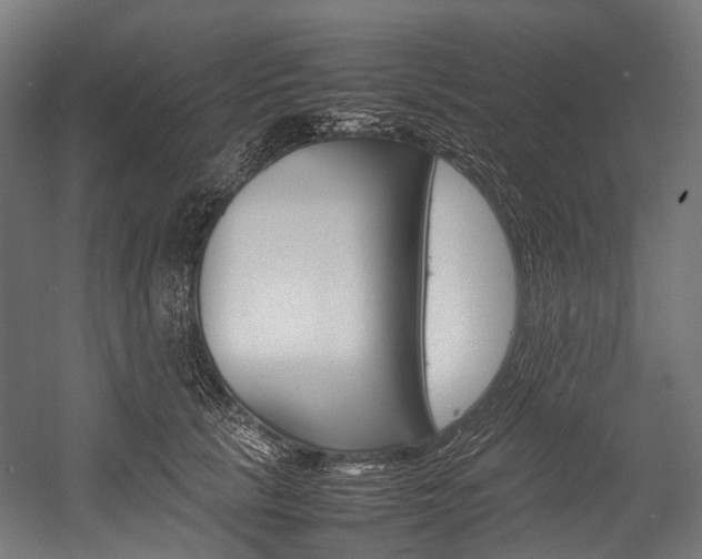 X0000054430657200507290953