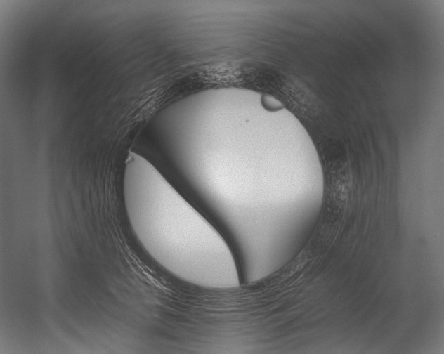 X0000054430658200507290953