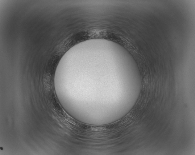 X0000054430659200507290953