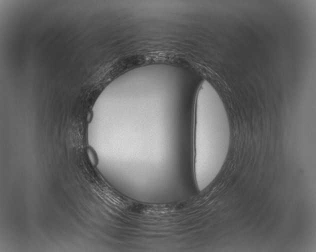 X0000054430661200507290953