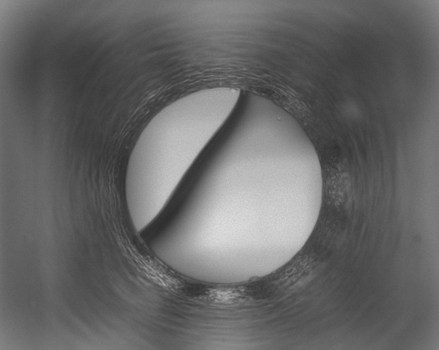 X0000054430662200507290953