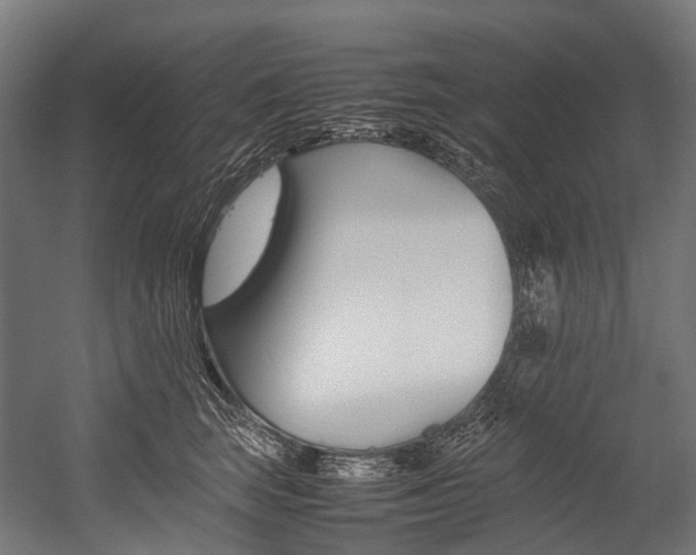 X0000054430663200507290953