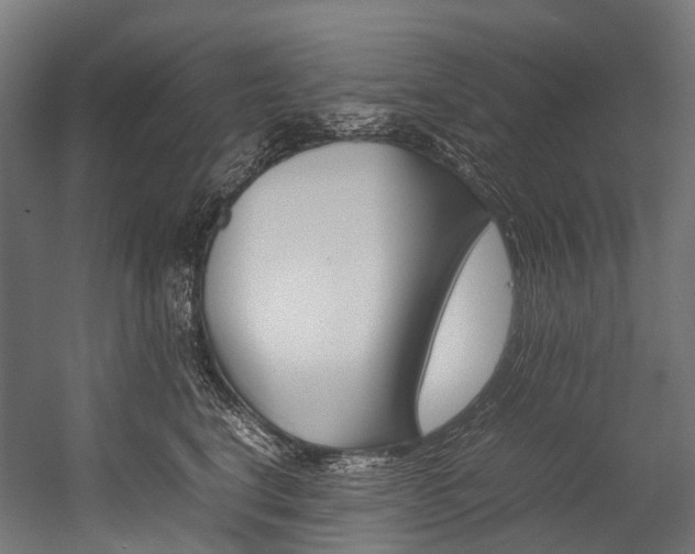 X0000054430664200507290953