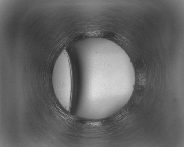X0000054430665200507290953