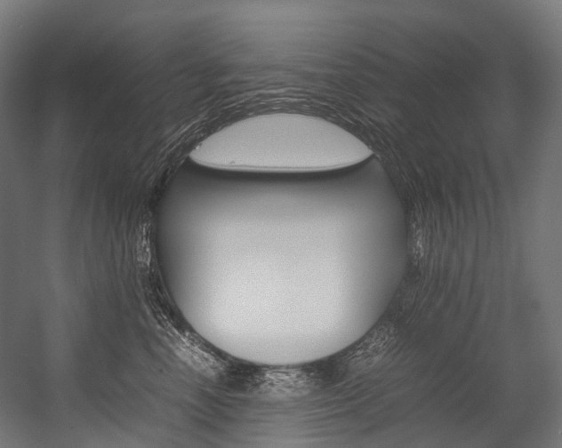 X0000054430666200507290953