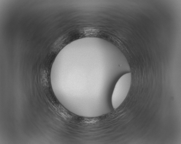 X0000054430667200507290953