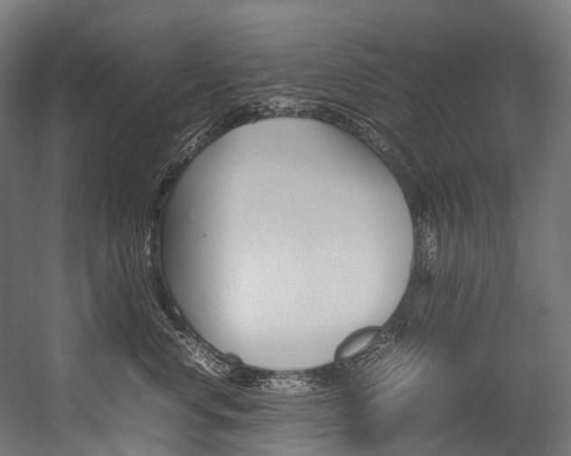 X0000054430668200507290953