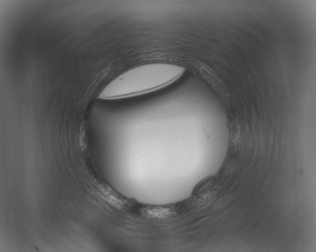 X0000054430669200507290953