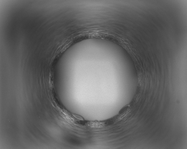 X0000054430670200507290953