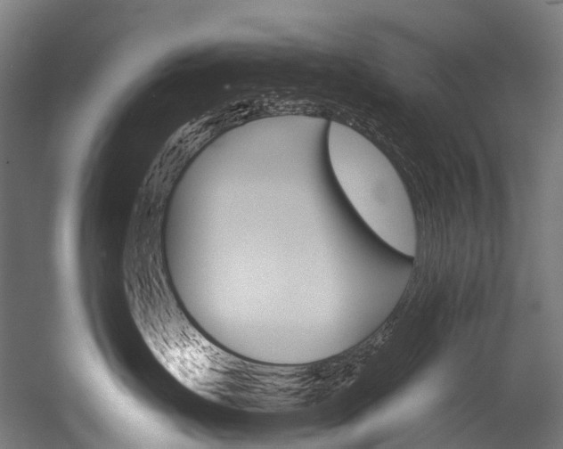 X0000054430671200507290953