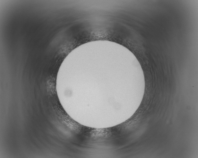 X0000054430672200507290953