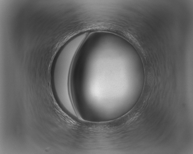 X0000054430673200507290953