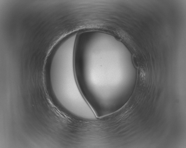 X0000054430676200507290952