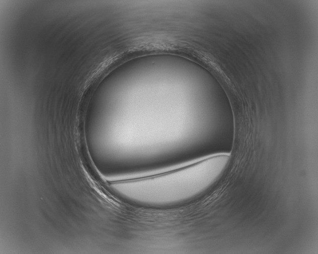 X0000054430677200507290952