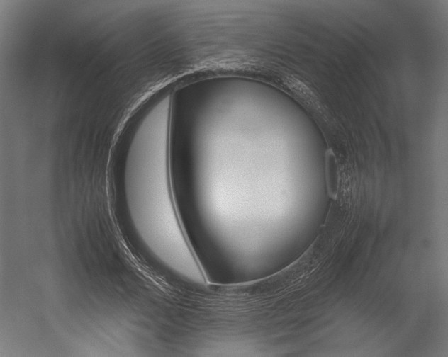 X0000054430680200507290952