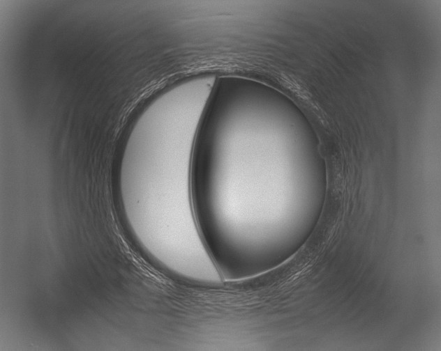 X0000054430681200507290952