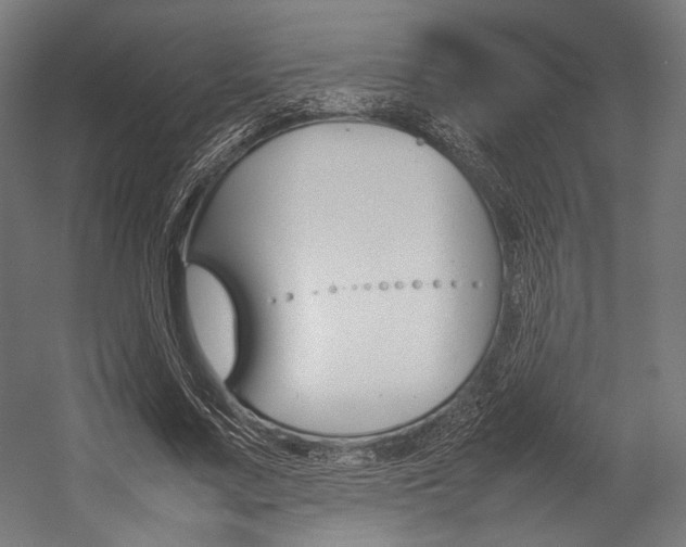 X0000054430683200507290952