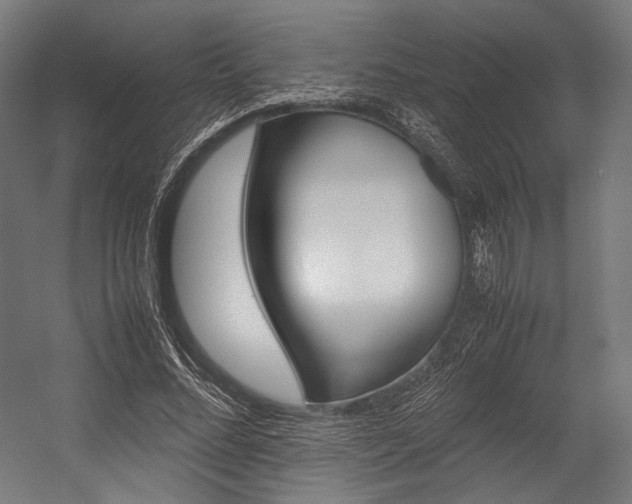 X0000054430684200507290952
