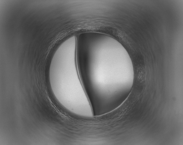 X0000054430685200507290952