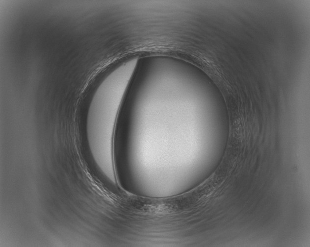 X0000054430688200507290952