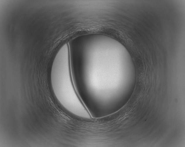 X0000054430689200507290952