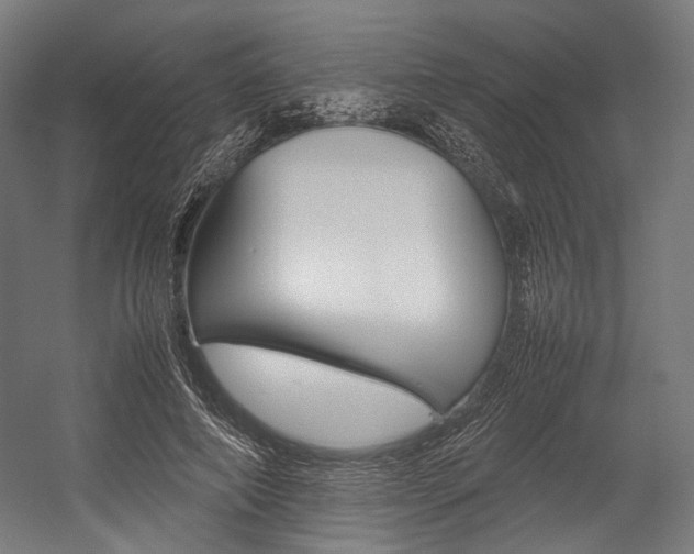 X0000054430690200507290952