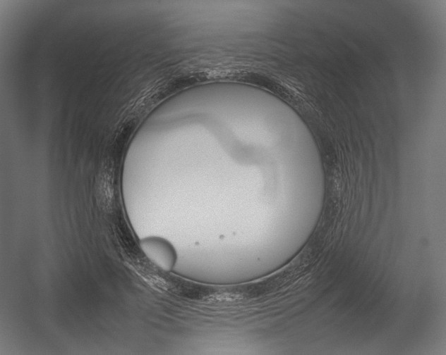 X0000054430691200507290952