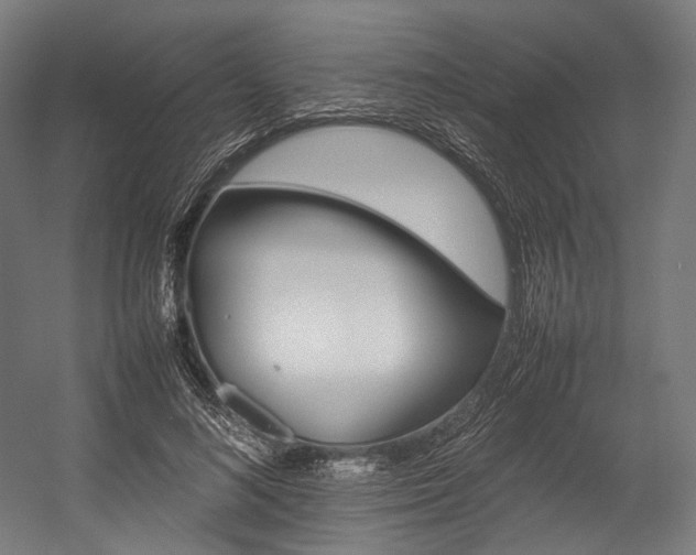 X0000054430692200507290952