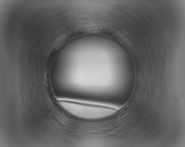 X0000054430693200507290952