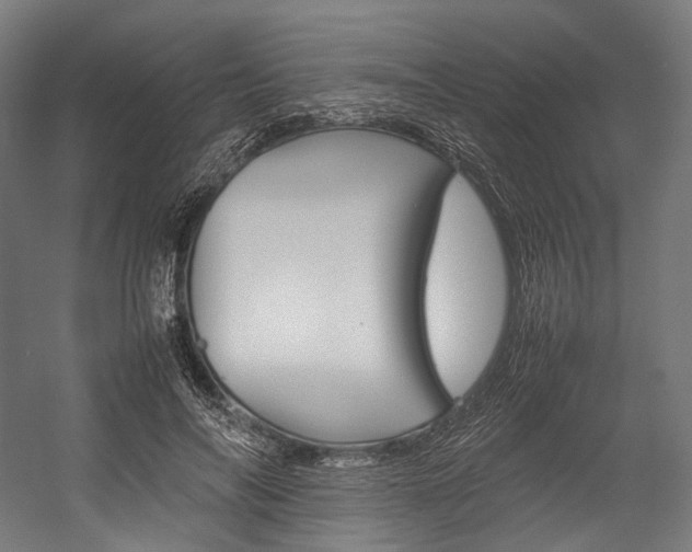 X0000054430694200507290952
