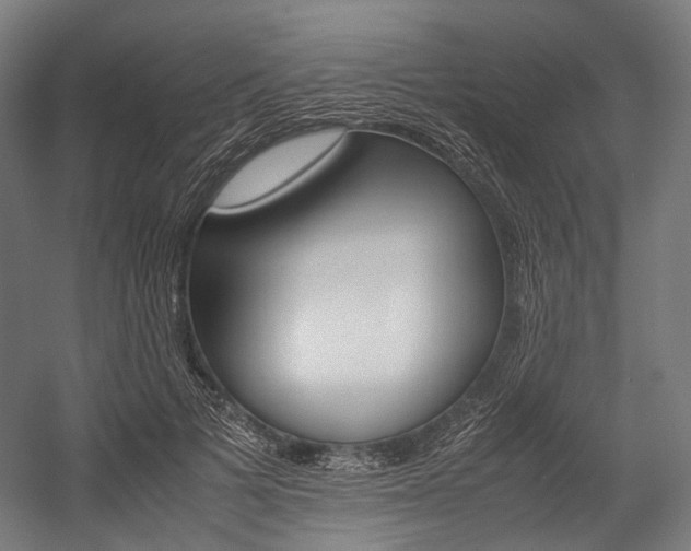 X0000054430697200507290952