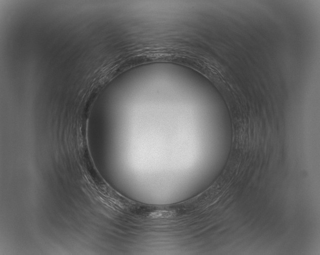 X0000054430700200507290952