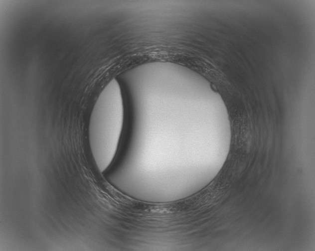 X0000054430702200507290952
