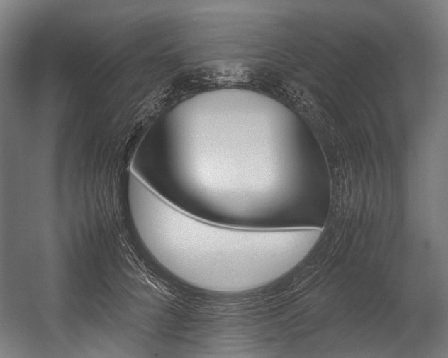 X0000054430704200507290952