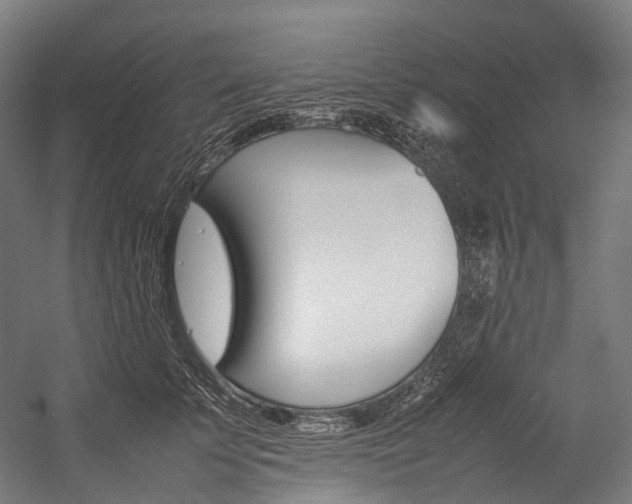 X0000054430707200507290952