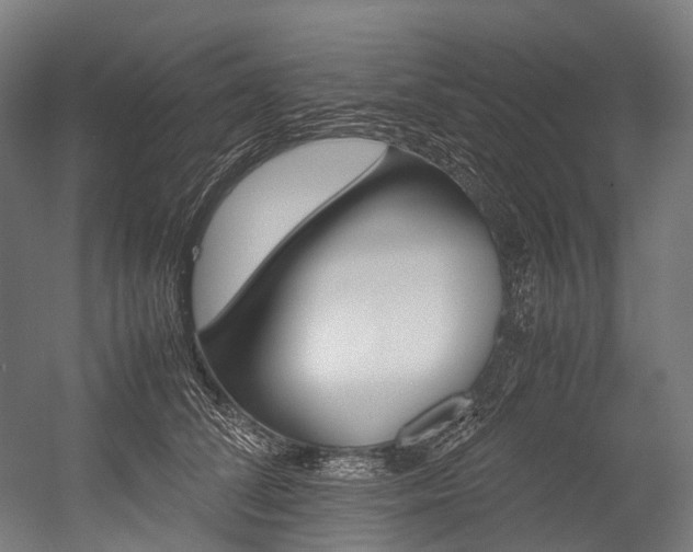 X0000054430708200507290952