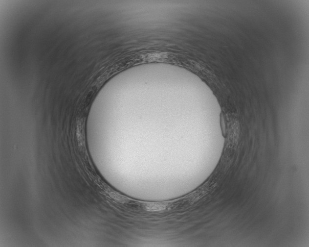 X0000054430709200507290952