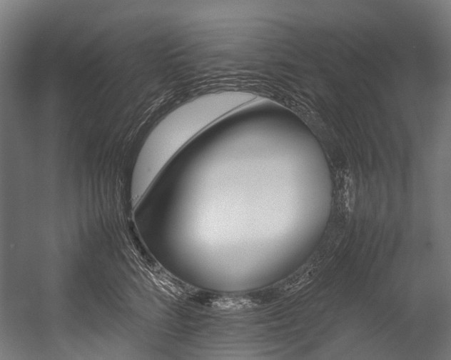 X0000054430712200507290952