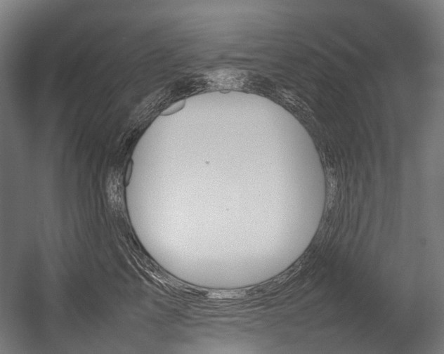 X0000054430713200507290952
