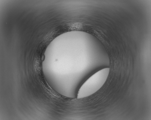 X0000054430714200507290952