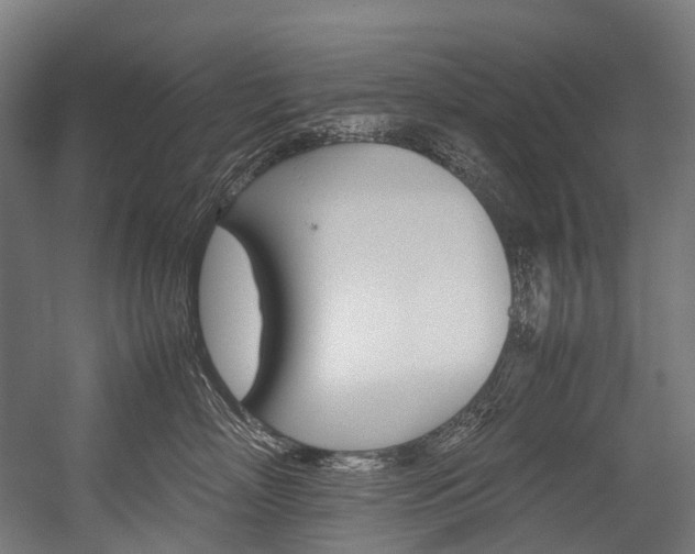 X0000054430718200507290952