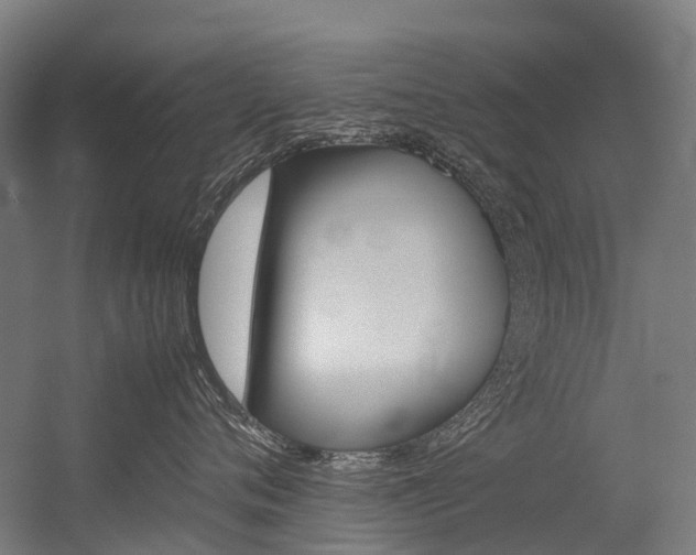 X0000054430720200507290952