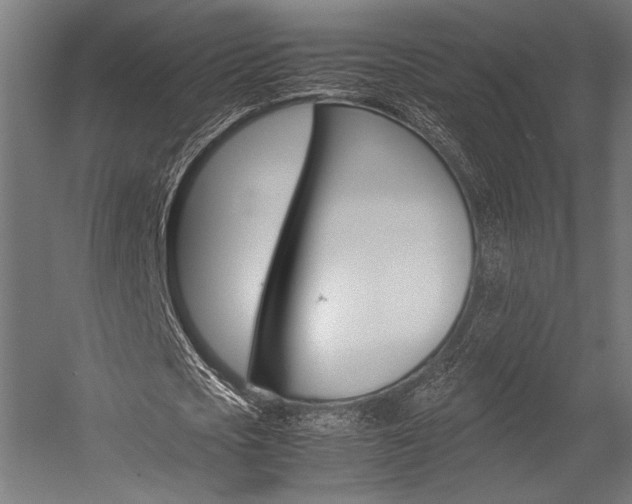 X0000054430721200507290951