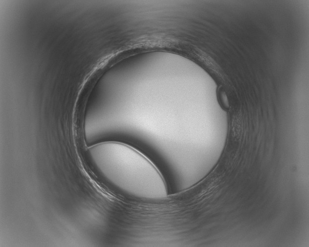 X0000054430722200507290951